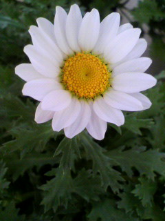 動かす力_f0082794_22222238.jpg