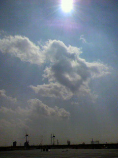 しろするな_f0082794_22292325.jpg
