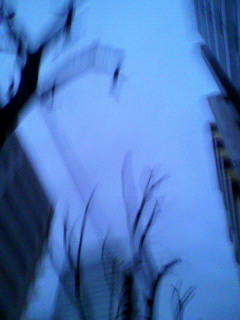タマネギ_f0082794_2234438.jpg
