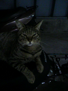 別のヤツ_f0082794_2235022.jpg