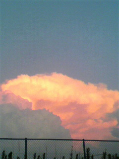 一斉_f0082794_22354799.jpg