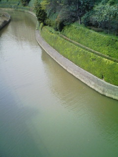 ワンコ_f0082794_22412439.jpg