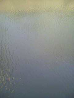 世辞_f0082794_22471445.jpg