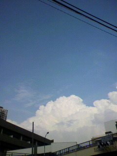後期開始_f0082794_2253359.jpg