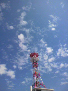 から_f0082794_22533819.jpg