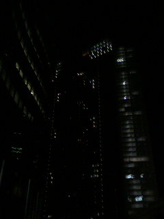 フロッグ_f0082794_22565094.jpg