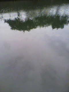個体と空間_f0082794_2261896.jpg