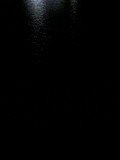 万有引力_f0082794_226476.jpg