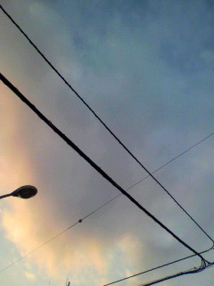 後期_f0082794_2301932.jpg