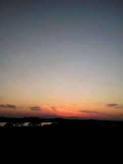 作業日_f0082794_2316974.jpg