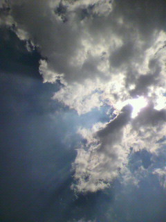 あまみ_f0082794_2323225.jpg