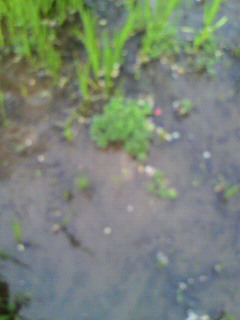 の〜る_f0082794_23262032.jpg