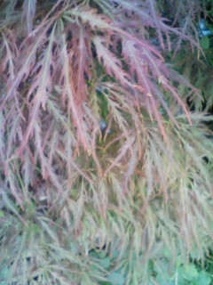 Ⅳ_f0082794_23272072.jpg