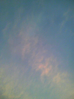 ぼっち_f0082794_2328376.jpg