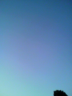 鮫_f0082794_23302554.jpg