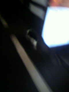 風呂敷_f0082794_2331043.jpg