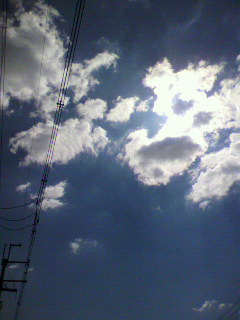認め_f0082794_233593.jpg