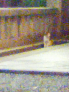 アンバランス_f0082794_233651.jpg