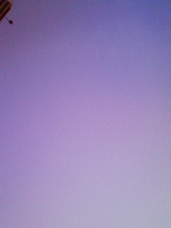 段々_f0082794_2355878.jpg