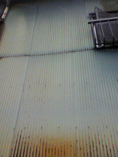 ハイハイ_f0082794_2400100.jpg