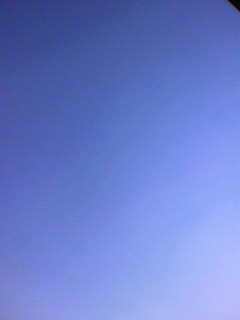 アートワークスギャラリー_f0082794_243094.jpg