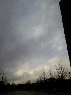 つめ_f0082794_2441328.jpg
