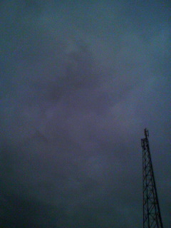 臭覚_f0082794_2513944.jpg