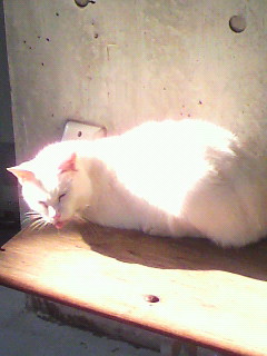 秘すれば_f0082794_2522146.jpg