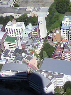 ネイチャー_f0082794_2585653.jpg