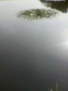 ガツン_f0082794_3151151.jpg
