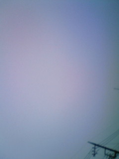 7_f0082794_3154975.jpg