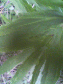 やりくり_f0082794_315672.jpg