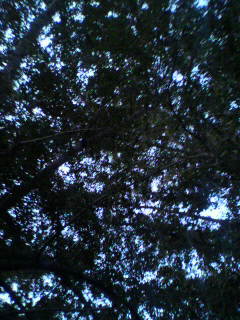キューブ_f0082794_3171928.jpg