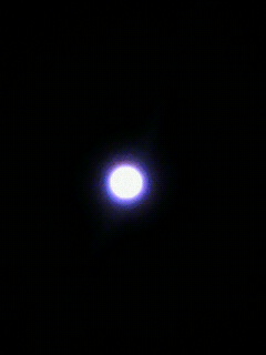 わっぱ_f0082794_322062.jpg