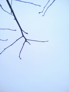 偶然_f0082794_322585.jpg