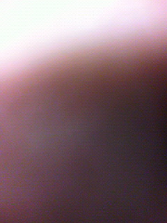 まず_f0082794_324712.jpg