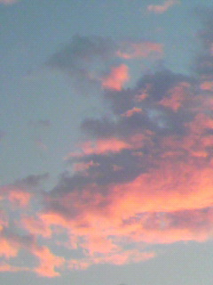ある_f0082794_3251838.jpg
