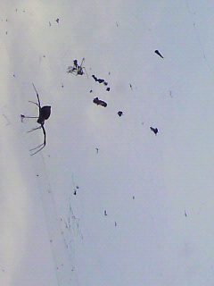 左右_f0082794_3255086.jpg