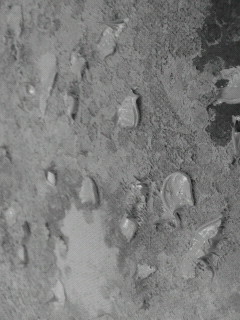 カーブ_f0082794_3262347.jpg