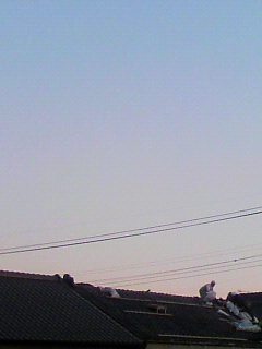 カワラ_f0082794_3274551.jpg