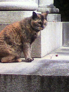小路_f0082794_327530.jpg