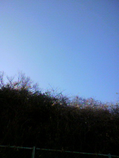 ホーイツ_f0082794_3293372.jpg