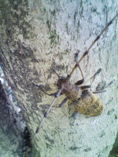 life_f0082794_3385957.jpg