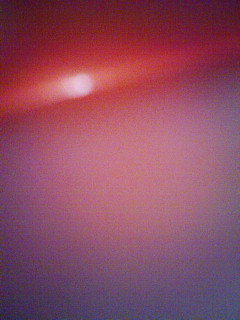 フィールド_f0082794_340301.jpg