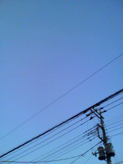 まー_f0082794_3425169.jpg