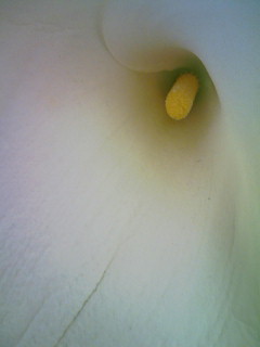 ツールボックス_f0082794_344560.jpg