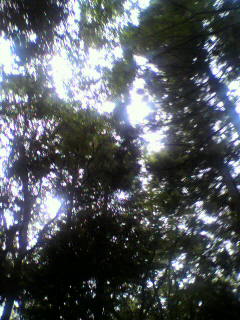 アンネ_f0082794_3455276.jpg