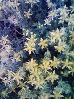 自己判断_f0082794_3475251.jpg