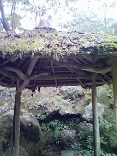 標的_f0082794_3481690.jpg