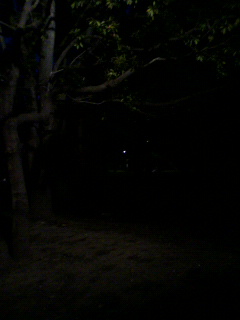 能力_f0082794_3483081.jpg